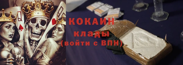 гидропоника Гусиноозёрск
