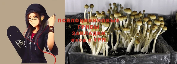 МДПВ Дмитров