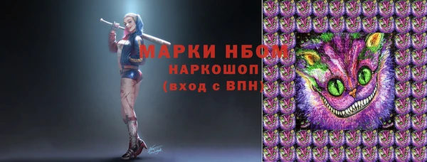 гидропоника Гусиноозёрск